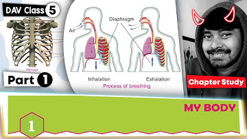 Chapter 1 | My Body | DAV Class 5 Science | Chapter Study (Part1) 🔥🔥🔥