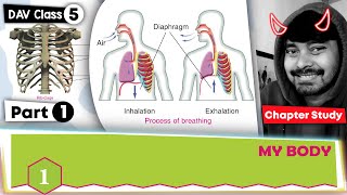 Chapter 1 | My Body | DAV Class 5 Science | Chapter Study (Part1) 🔥🔥🔥
