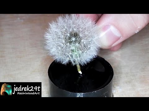 Dandelion in Resin / RESIN ART