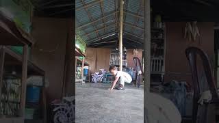 Xorilai Paisha Chinxa Chindaina Hola Vanekota Tapakka Po Tipdo Raixa