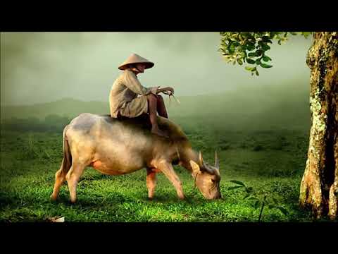 Vietnamese Music Relax with flute   Nhc Th Gin Gip Ng Ngon