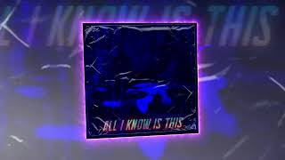 Ambassador - All i know is this (Official audio)