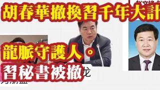 胡春华撤换习近平千年大计，龙脉守护人雄安新区。保定市委书记赵文峰替换党晓龙。党晓龙曾任习近平的秘书，是富平县同乡。从富平到保定：第一秘书党晓龙被免