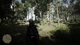 Red Dead Online Legendary Tatanka Bison Coat #RDO