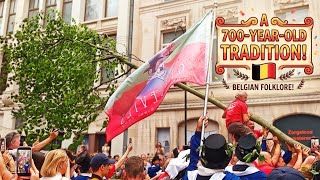 Meyboom 2026 🇧🇪 Discover One of Brussels' Oldest Traditions 🌳✨