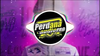 ASTROUNOUT - JINGLE PERDANA PRO AUDIO JEMBER ( REMIX ) SUPPORT KELUD MUSIC