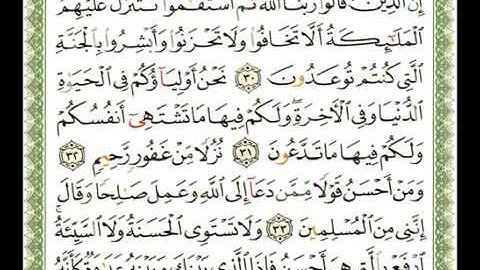 041 سورة فصلت شيرزاد عبد الرحمن طاهر