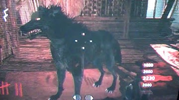 COD5 Shi No Numa ZOMBIE DOG GLITCH! READ DESCRIPTION!