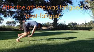 Celebrity Performance analysis: effect of fatigue on technical performance. Assignment task 2 Wealth