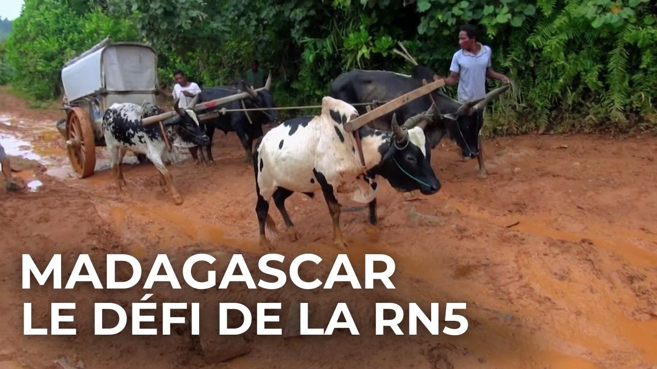 Madagascar : l'enfer des routes Malgaches