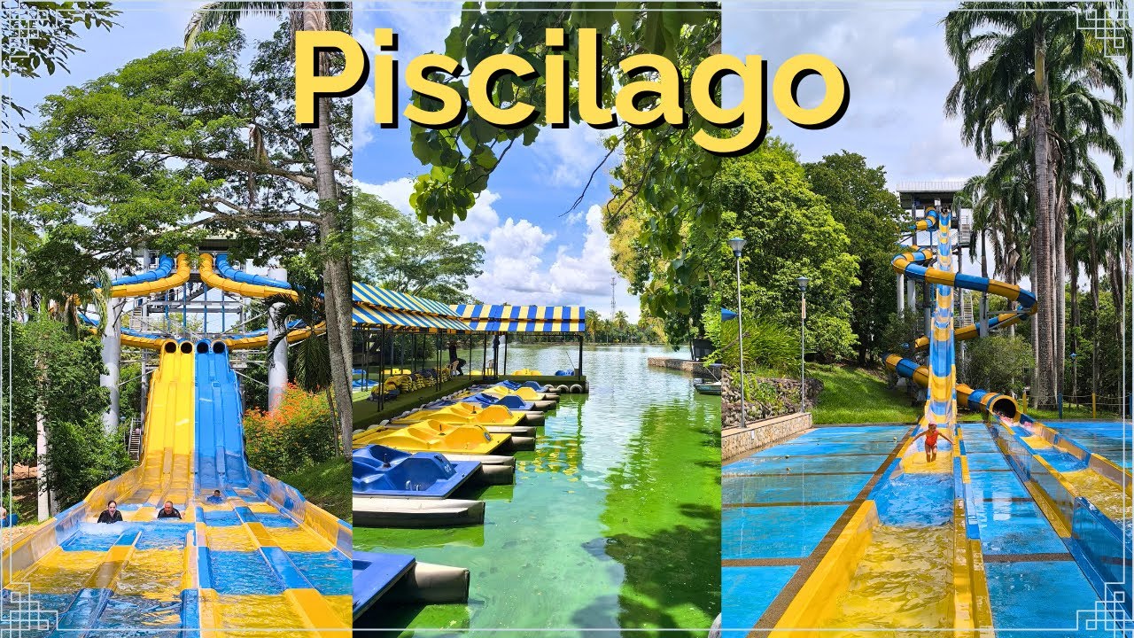 😎☀️ Писилаго - Колсубсидио 2025 😎☀️