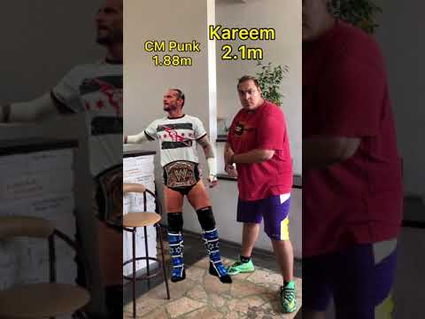 5 Greatest Wwe Champions Of All Time Height Comparison