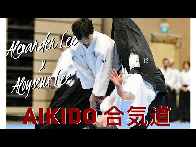 AIKIDO: Power with Relaxation class=