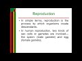 ANATOMY OF THE MALE REPRODUCTIVE SYSTEM