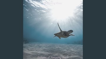 High Class Backdrops for Relaxing Days