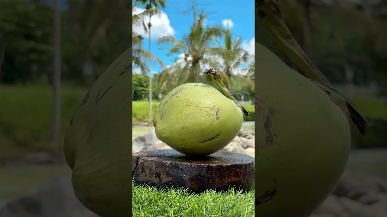 Refreshing Coconut Cutting ASMR