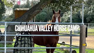 Chihuahua Valley Horse Camp