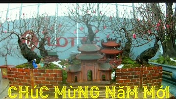 ( trường béo TN ) Lời chúc mừng năm mới hay ý nghĩa nhất