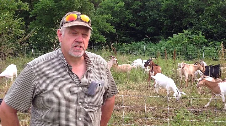 Controlling Invasive Species with Goats, Ray Hanse...