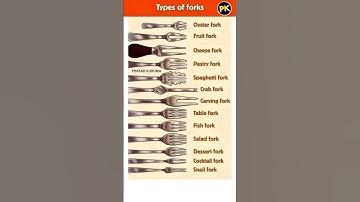 Type of Forks 🍴#fork #spoons #shorts #prasadkuruma