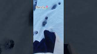 Mini vlog 4/100#snowday #snowvibes #​#CozySeason​ ​#Wintercore​#Snowcore​#Cottagecore