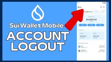 How to Sign Out of Sui Wallet App 2024?