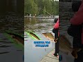 Поймал гигантскую рыбу! Не поверите, ЧТО ЭТО! #рыбак #рыбалка #рыба