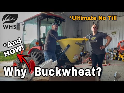 Ultimate Buckwheat No