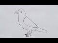 How to draw crow drawing easy step by stepkids drawing talent