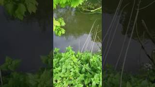 Famous Bristol Avon barbel 2 Net Worth