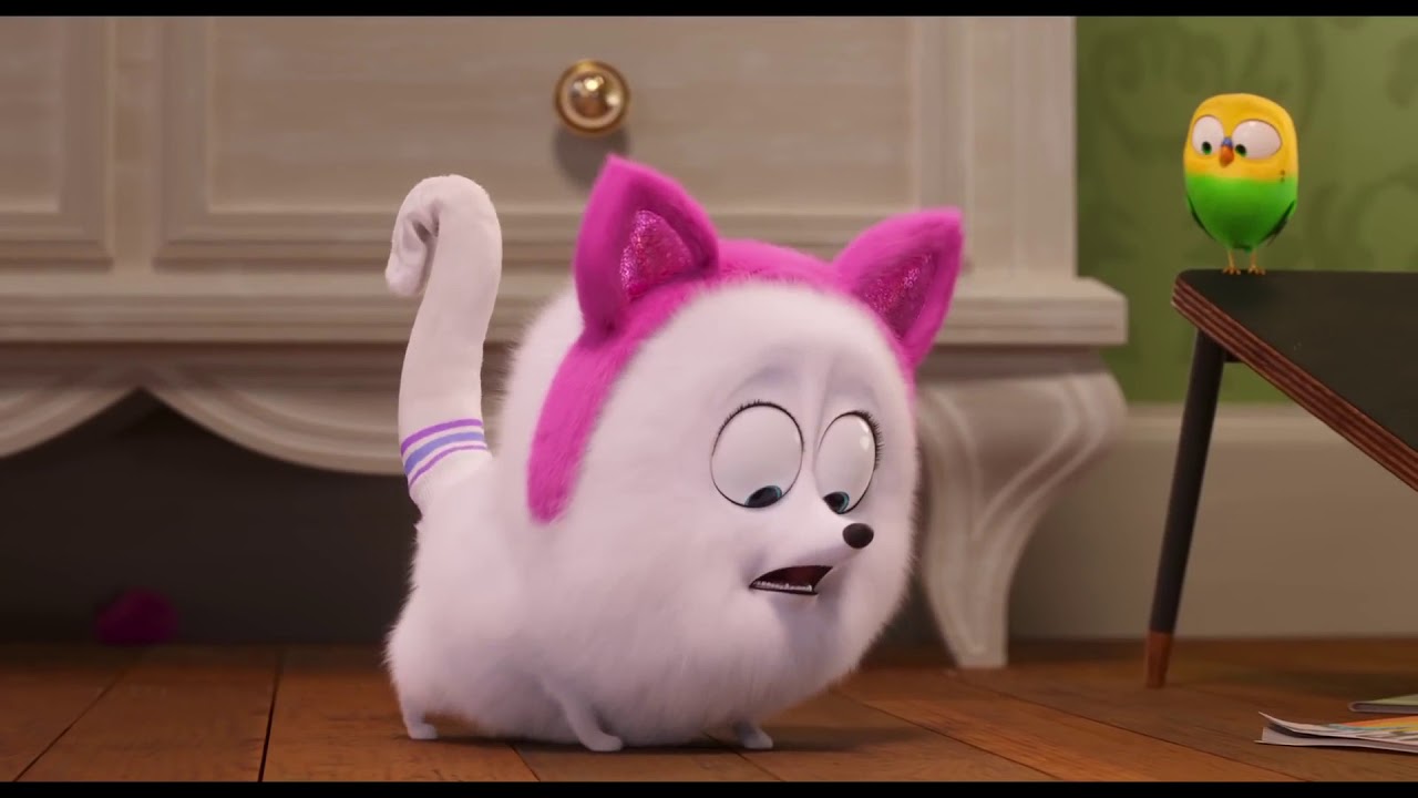 subtitledThe Secret Life Of Pets 2 The Gidget Trailer HD - YouTube