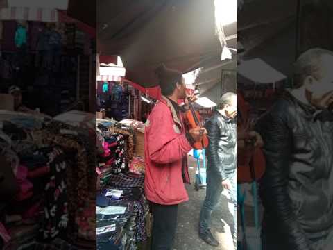 الحاج سايسي