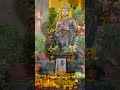 Buddha ☸️💙, #trending #love #lordbuddha #viralreels