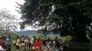 Lễ cúng thần cây của người Thái ở Nghệ An