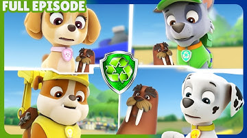 Pups Save A Walrus | Rocky PAW Patrol Full Episode | Wally the Walrus | Cartoons for Kids