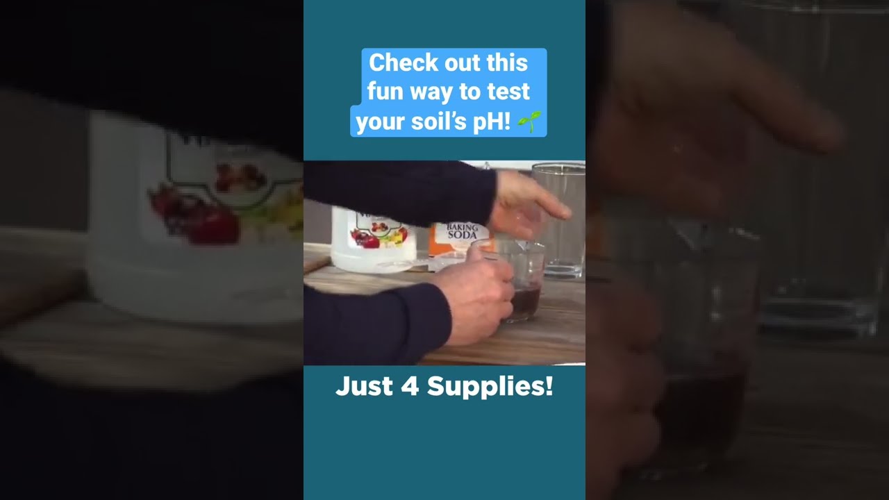Testing Your Soil S PH Simple Solutions