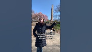 Forced perspective in Central Park