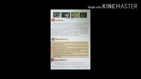 ENVIRONMENTAL STUDIES (part one) Science Standard - Four Lesson no.1. The Life Cycle of Animals.