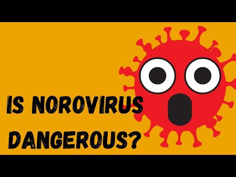 NOROVIRUS 2021 |