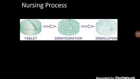 Module 10 Drug Actions part 1