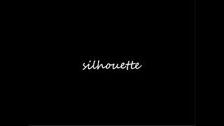 Famous silhouette interview Wealth