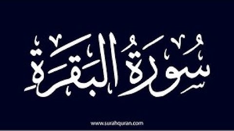 9- سورة البقرة من اية 168 الى 190