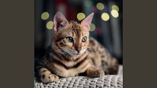 Soft Notes Ease Feline Anxiety