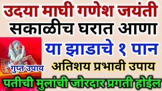 उदय घ गणश जयत सकळच घरत आण यझडच १ पन,पतच मलच जरदर परगत हईल