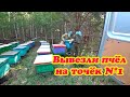 ВЫВОЗИМ ПЧЕЛОСЕМЬИ НА ТОЧЁК №1, ЦВЕТЕНИЕ АКЦИИ ЖЁЛТОЙ И ОДУВАНЧИКА.