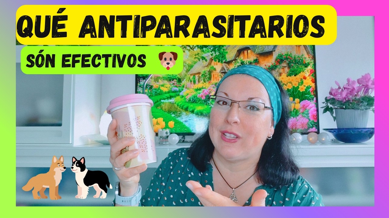 Antiparasitarios Para Perros 🐶 | Pipetas, Collar y Alternativa Natural Según Nuestra Experiencia 🐾💞🐾