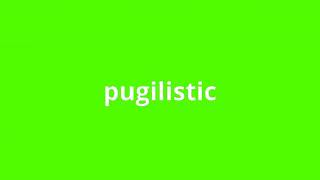 what is the meaning of pugilistic