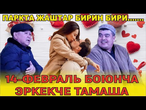 ТЫНАР БОРОНЧУ14-ФЕВРАЛЬ БОЮНЧА ЭРКЕКЧУ ТАМАШАЭСКИ БИРОК Л КЫЗЫК