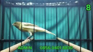 MATERI JM F1RASMI, F1YS, F1RASMI   !!!   MONGGO DI GAS BOS Q