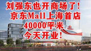 🔥First Look at Shanghai's First JD Mall! 40,000㎡ Space   300㎡ Naked-Eye 3D Screen, Staggering Var...